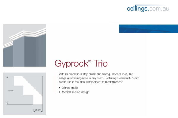 Gyprock Ceiling perth